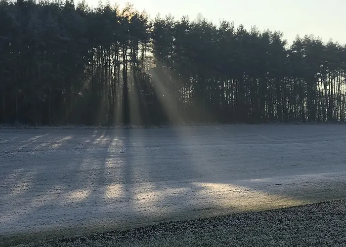 Rangau & Brennerei イン